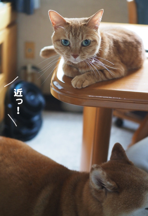 2日夕ブログ２