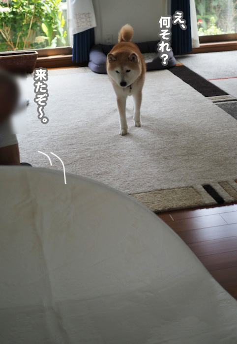 23日夕ブログ７