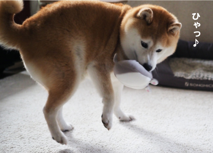 10日ブログ６