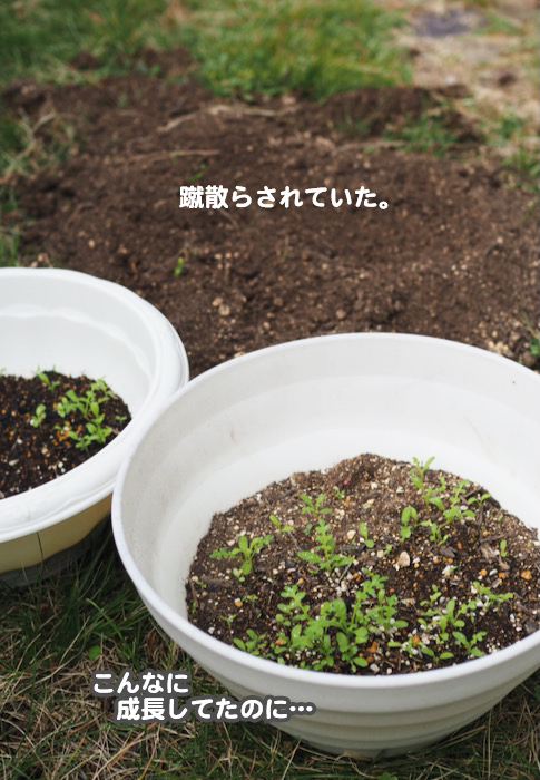 20日ブログ２