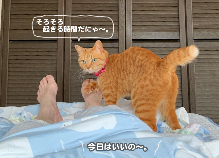 8日ブログ２