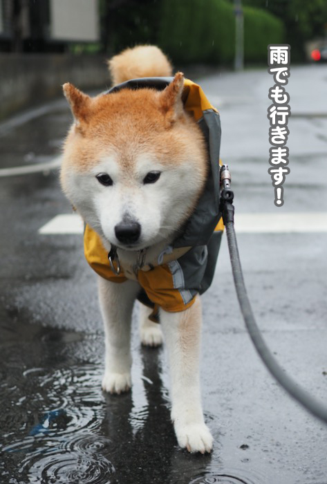 3日ブログ３