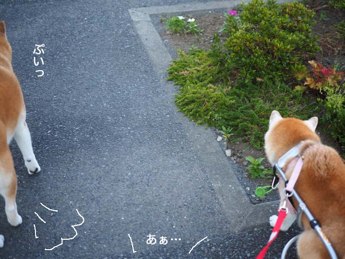 27日ブログ８