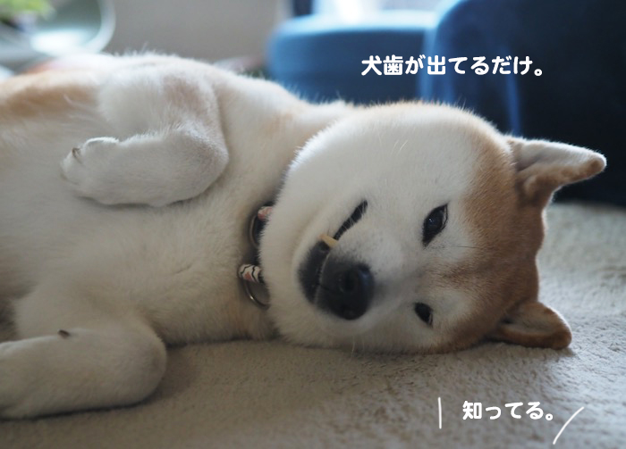 12日ブログ３