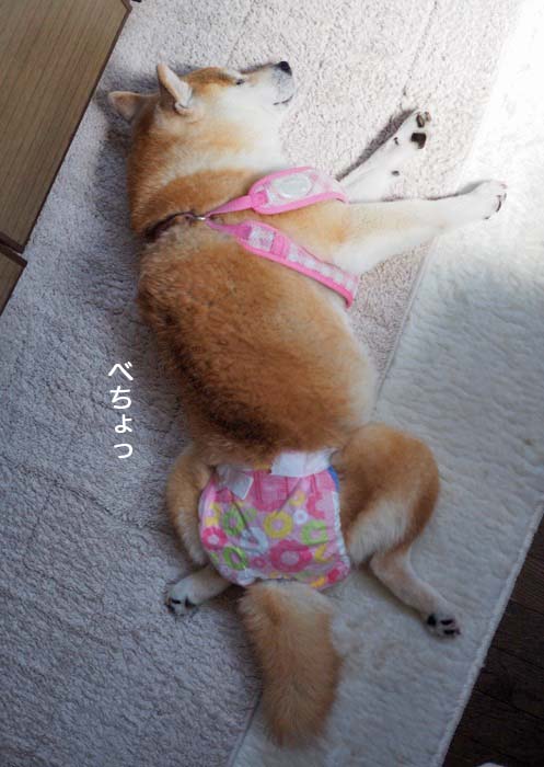 13日ブログ9