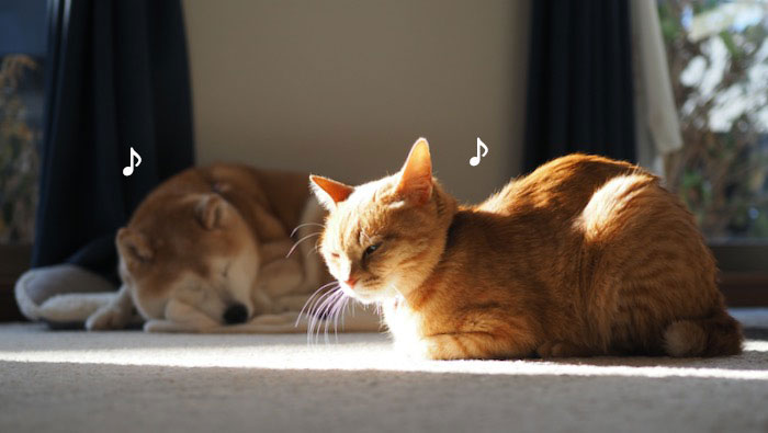 26日夕ブログ１４