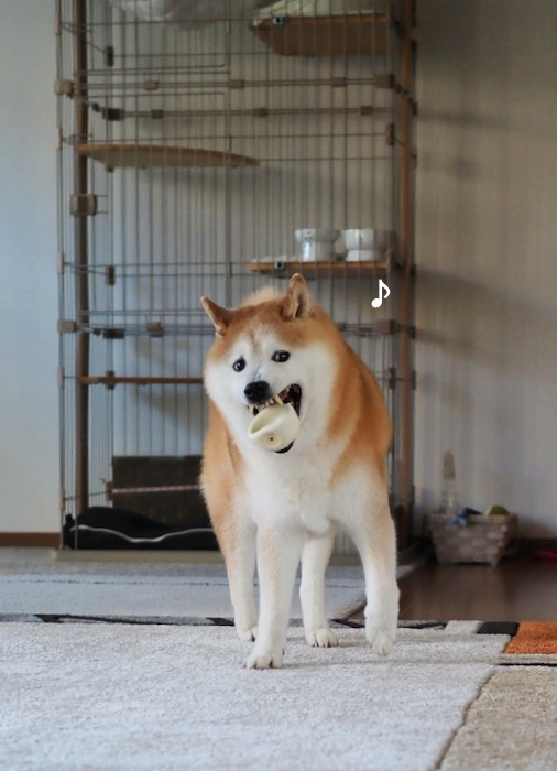 18日夕ブログ３