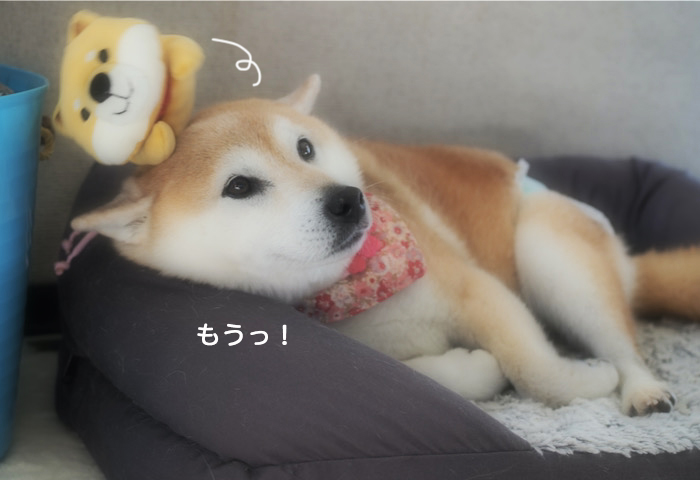 7日ブログ９