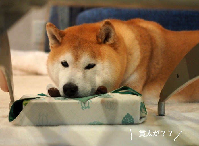 15日ブログ３
