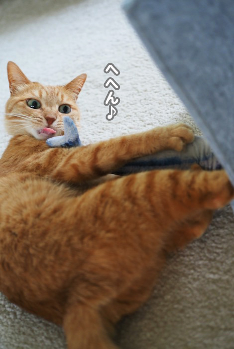 17日夕ブログ８