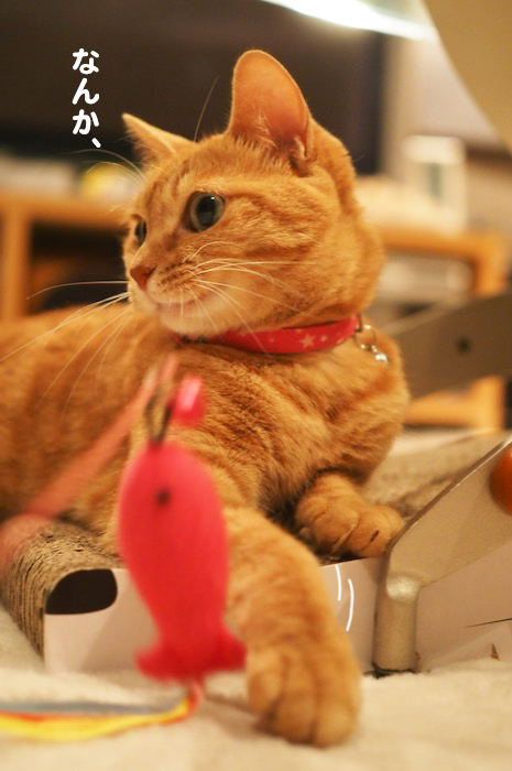 26日夕ブログ６