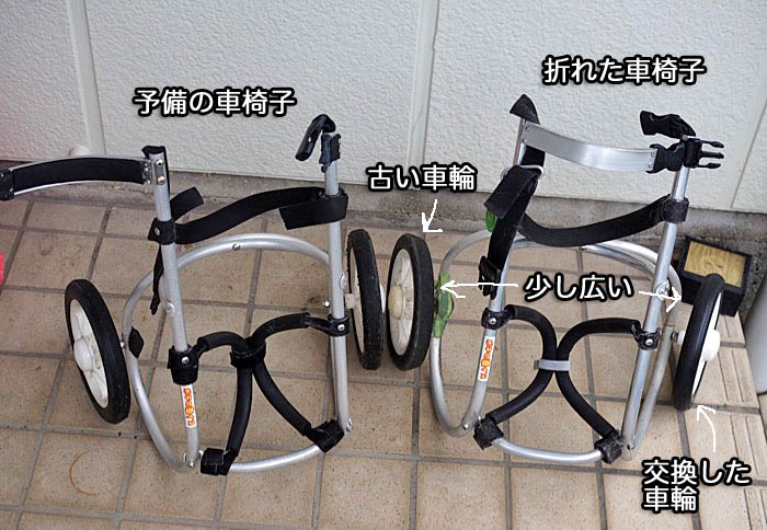 14日夜ブログ４