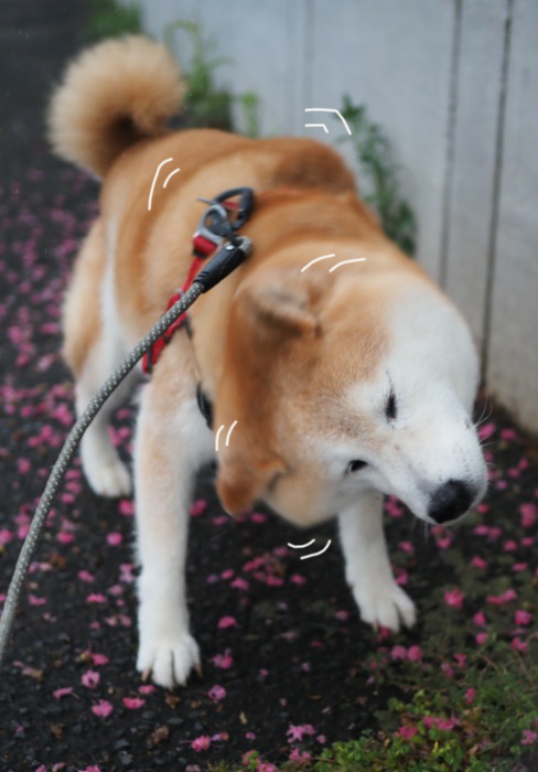 30日夜ブログ８