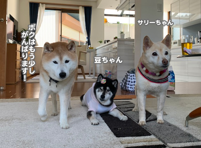 29日夕ブログ１０