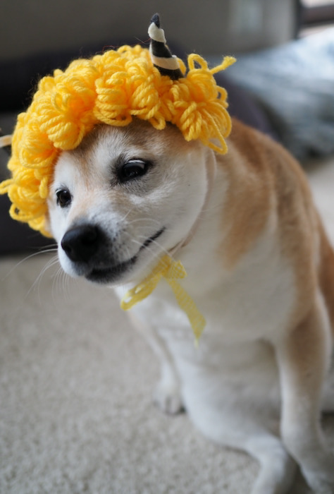 3日おまけ１
