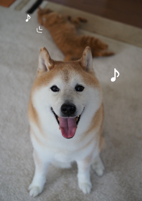12日夕ブログ10
