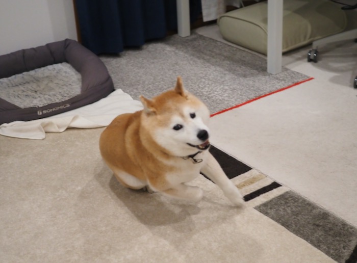 22日夕ブログ１２