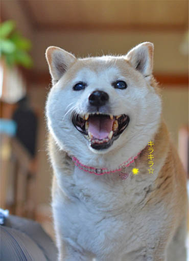 31日ブログ5.jpg