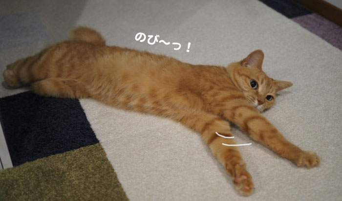12日夕ブログ８