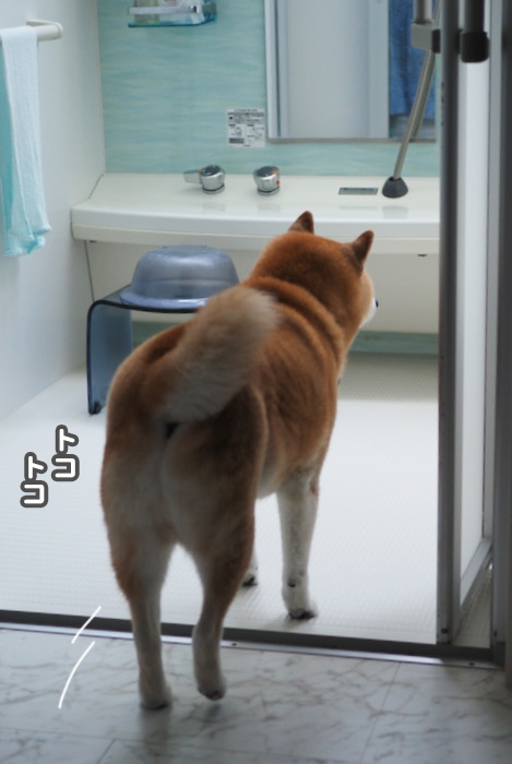 9日夕ブログ２