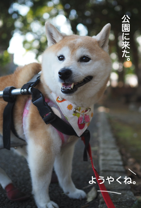 12日夜ブログ２
