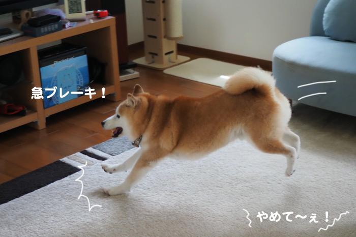 4日ブログ４