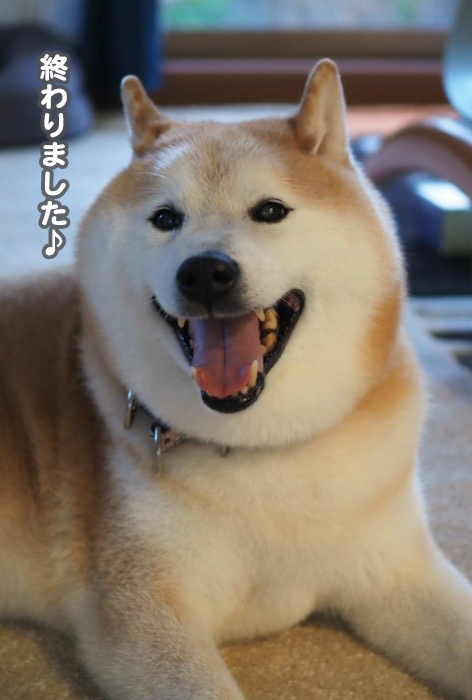 30日夕ブログ２