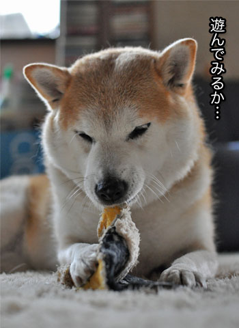 14日ブログ2.jpg