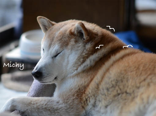 10日ブログ２３.jpg