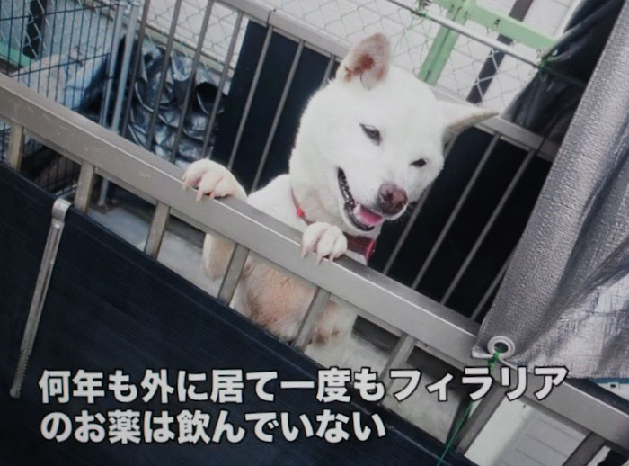 30日夕ブログ２