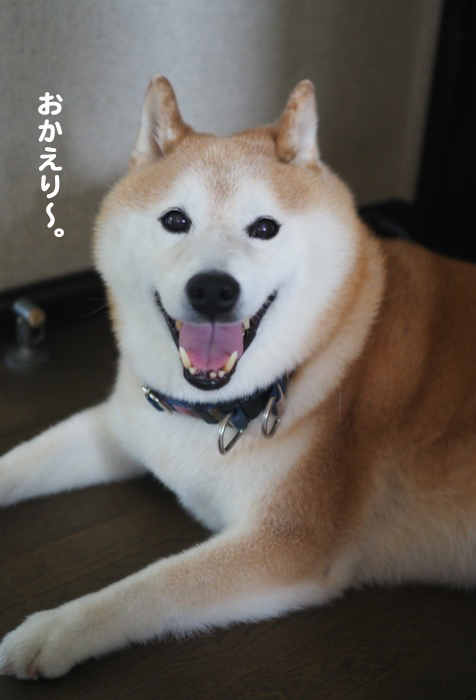12日夕ブログ８