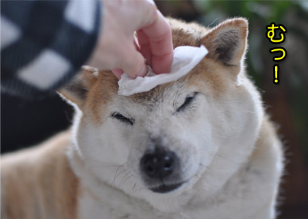 5日ブログ５.jpg