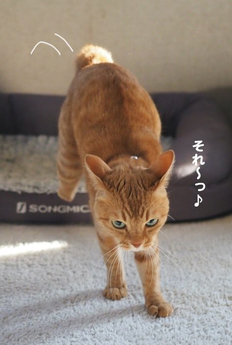 20日夕ブログ７