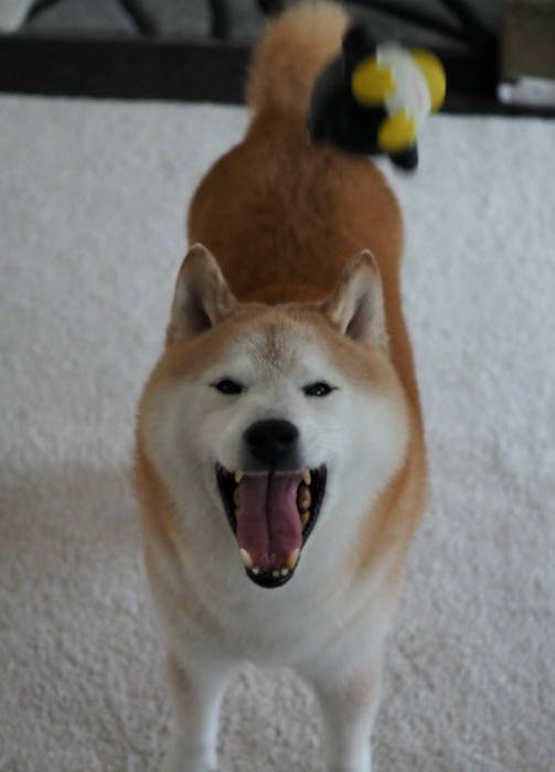21日ブログ１