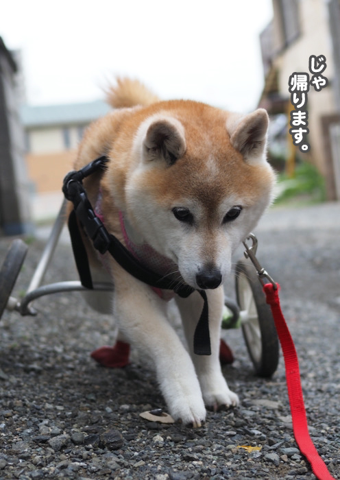 29日夜ブログ８