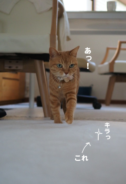 15日夜ブログ２