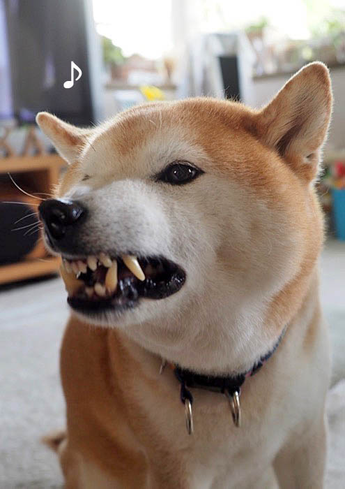 4日夜ブログ５