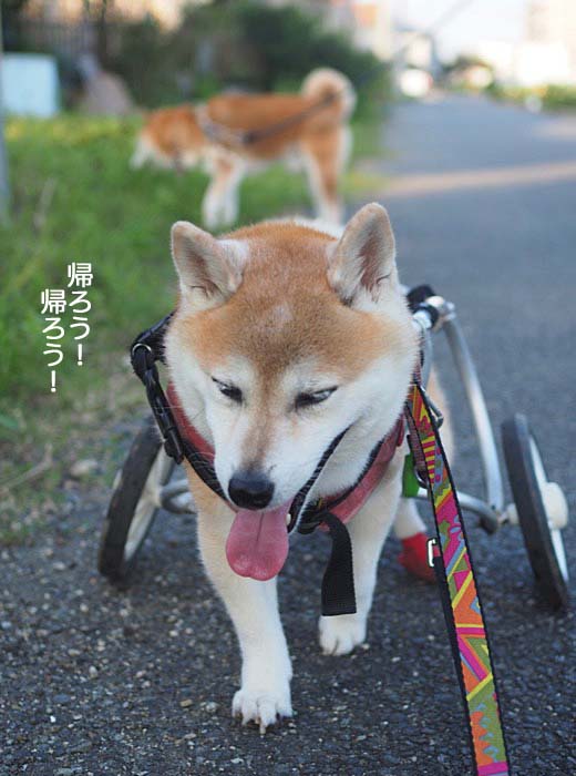 1日夜ブログ５