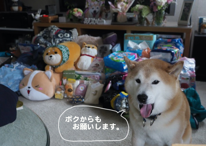 25日夕ブログ４