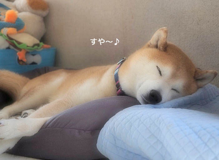 10日ブログ５