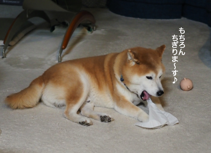 27日ブログ４