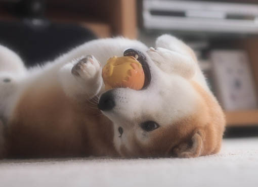 23日ブログ4.jpg