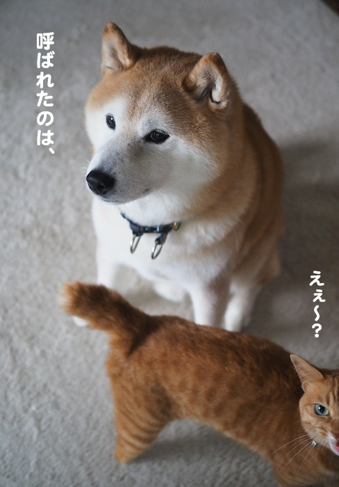 19日ブログ７