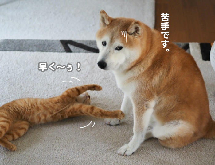 20日夕ブログ４