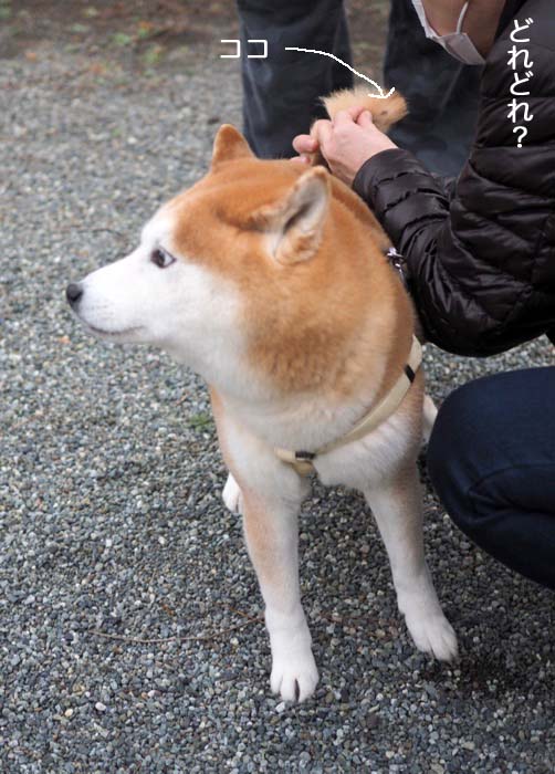 27日ブログ２