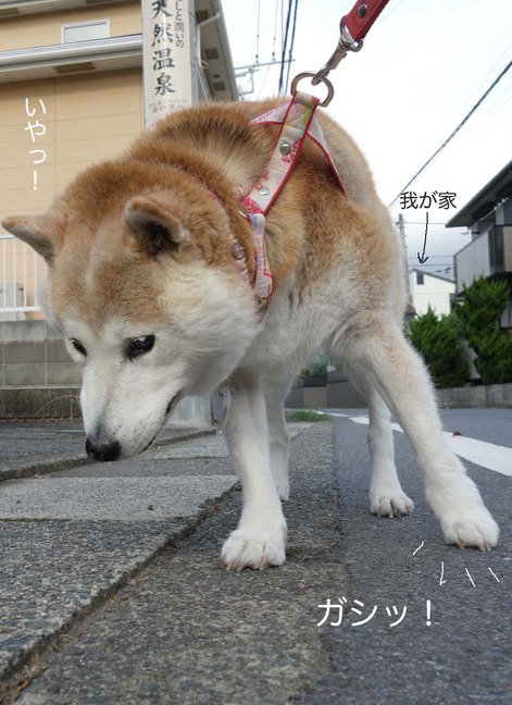 29日ブログ2