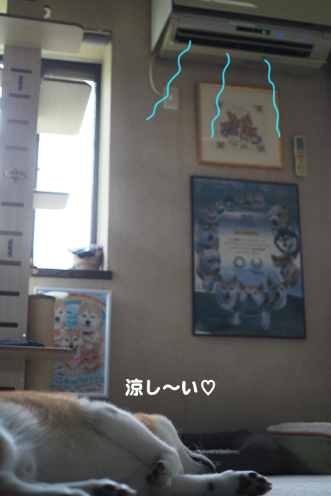 28日夕ブログ６