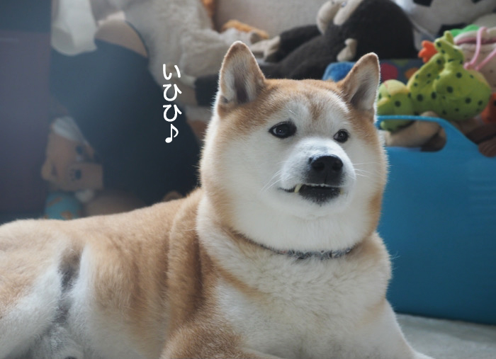 21日ブログ３