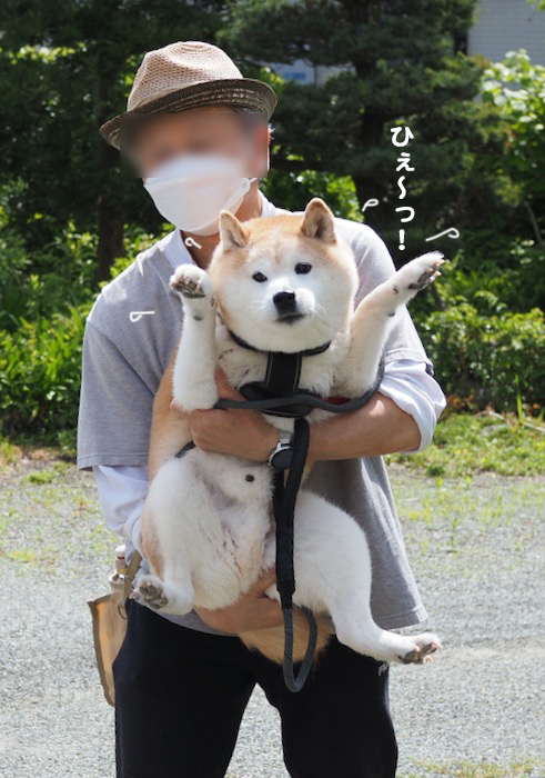 8日ブログ２