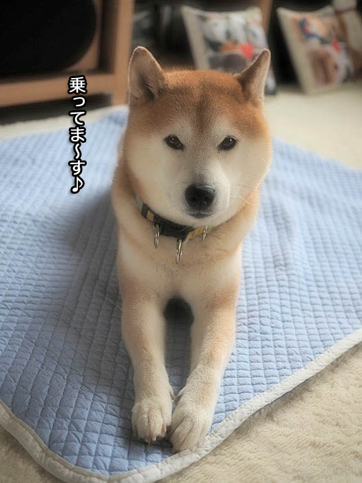 15日ブログ２